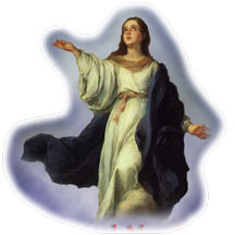 Virgen Maria, Madre de Dios